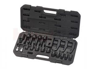 21PCS Injector Removal and Dismantling Set