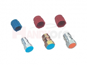 Straight Adapters Set w/Valve Core and Cap